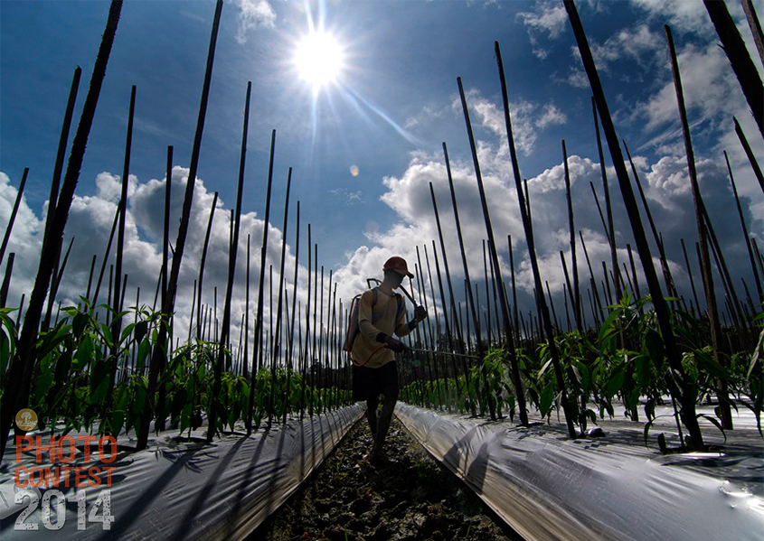 People's Choice Award - Muammar Ramadhan (Indonesia)