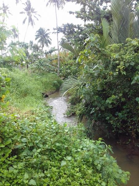 Narrow and shallow waterways at the project site for dredging, Boston, Davao Oriental (Photo by Allan Dela Cruz)
