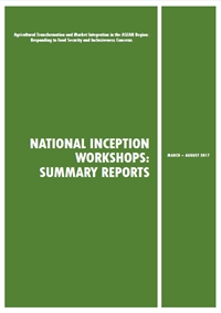 National Inception Workshops: Summary Reports