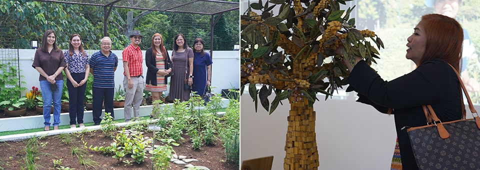 The visitors tour the SEARCA Sky Garden and the SEARCA Hub for Agriculture and Rural Innovation for the Next Generation (SHARING) AgriMuseum.