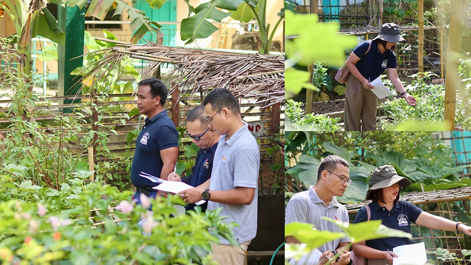 A delegation from DepEd Laguna, along with staff from the School Health Office, served as evaluators for the school gardens.