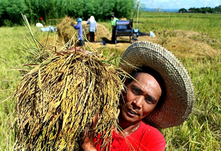 Statement On The First Quarter Of 2021 Philippine Agriculture Sector Growth Performance Searca