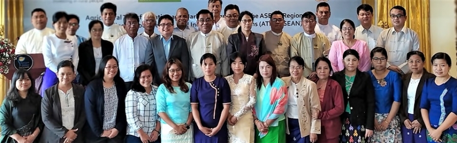 Opportunities and challenges of Myanmar pulses sector revisited during ...